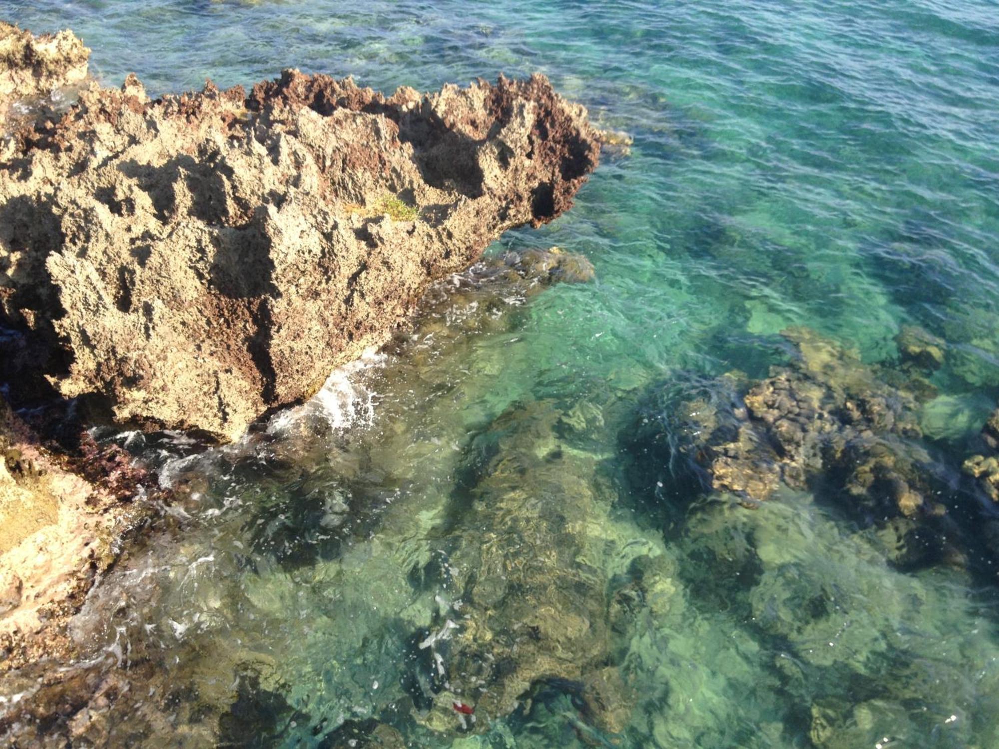 Media Luna Resort & Spa Second Bight Bagian luar foto